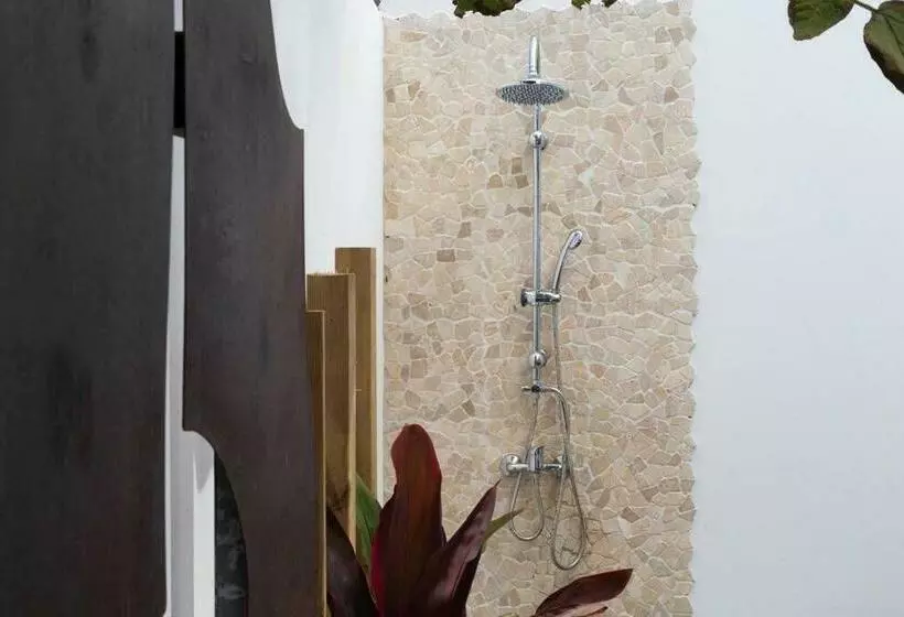 Terre Sainte Zarlor Villa Opale
