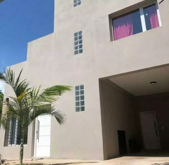 Wawa Estudio