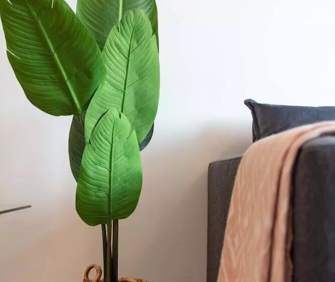 West Sands   Donnini Apartments