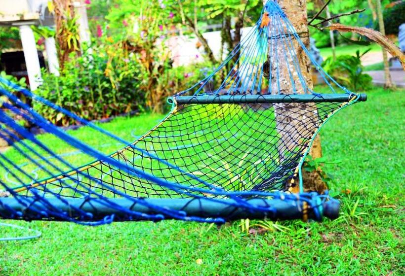 膳宿费 Little Villa