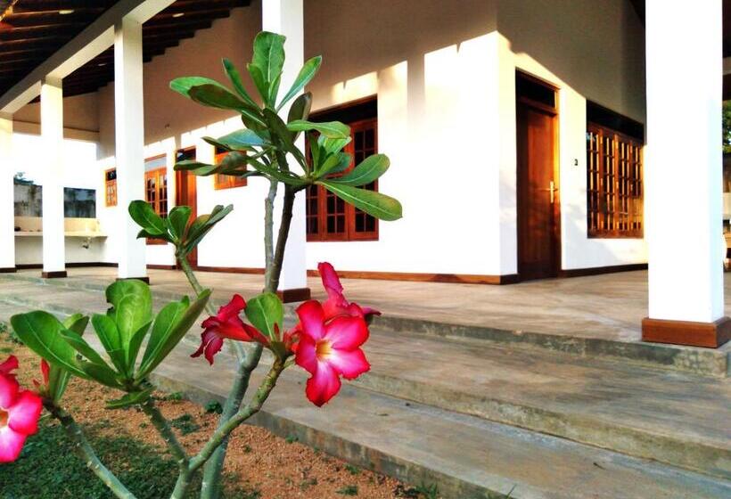 פנסיון The Treasure Habarana