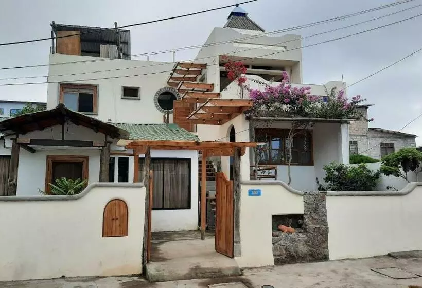 Alma De Cedrela