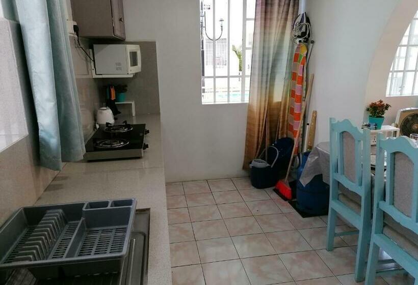 Camelia 2 Flic En Flac Mauritius