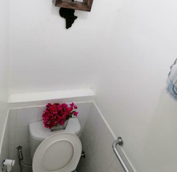 Camelia 2 Flic En Flac Mauritius