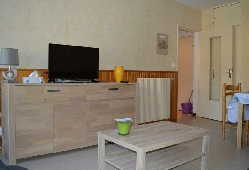 Appartement 2 Pièces Aux Pieds Des Pistes Avec Parking, Casier à Skis Et Cuisine équipée   Fr 1 593