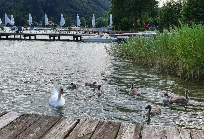 ペンション Villa Blu