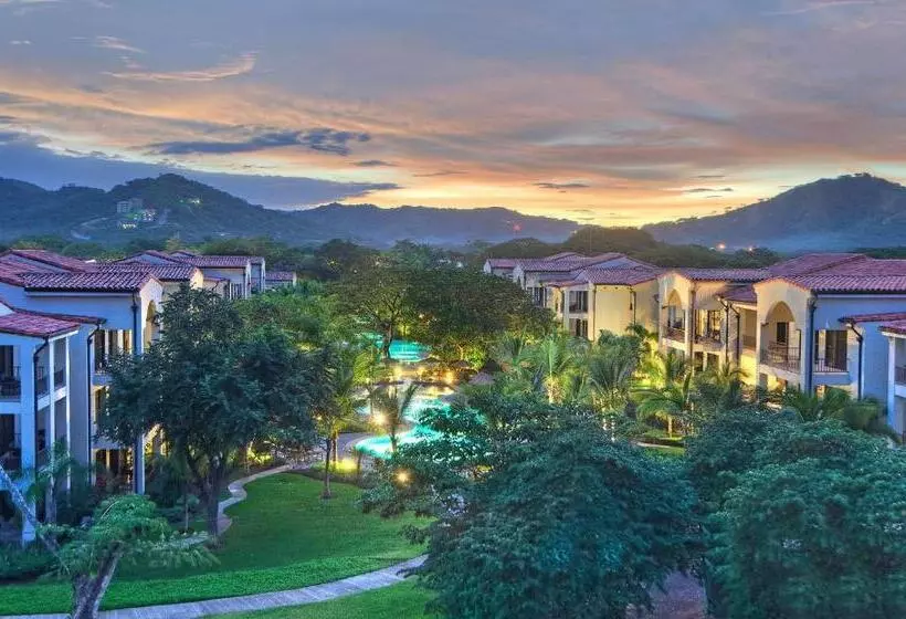 Penthouse Ocean View