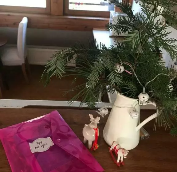 Apartmány Dolní Vítkov