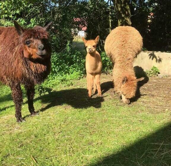 Apartmány Dolní Vítkov