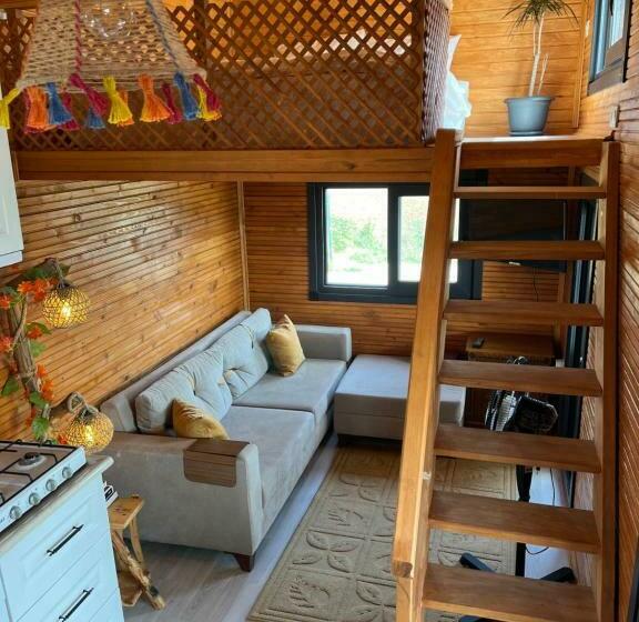 Blue & Green Bungalow