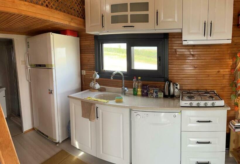 Blue & Green Bungalow