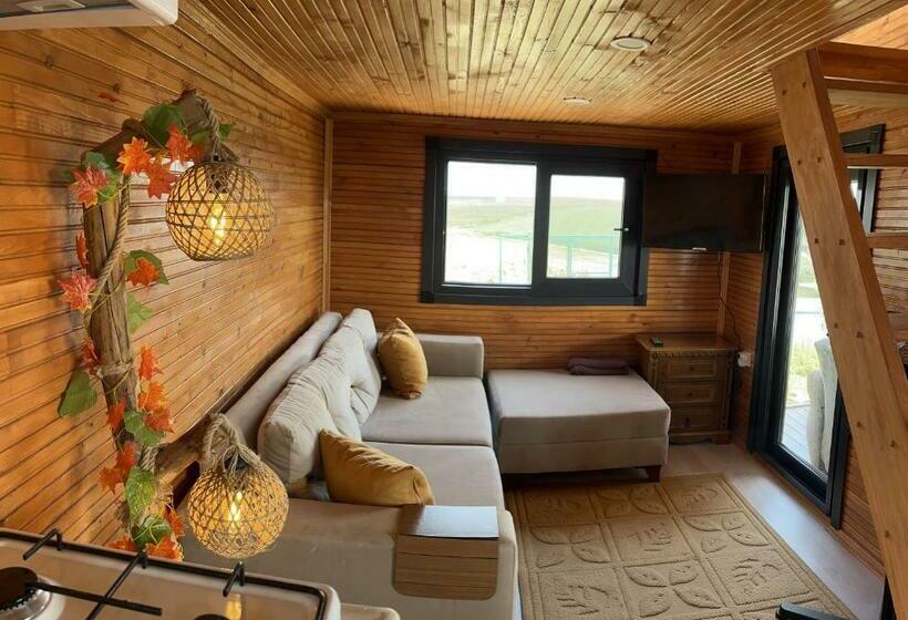 Blue & Green Bungalow