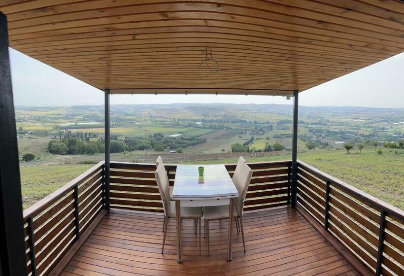 Blue & Green Bungalow