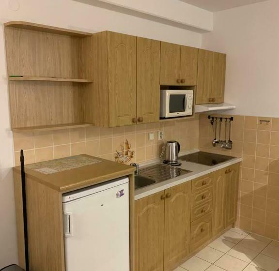 Apartmán Horní Mísečky