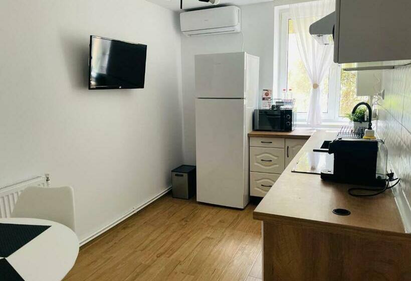 Studio Tad House Hunedoara