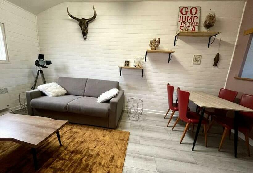 Appartement Au Coeur De Dinard   T2