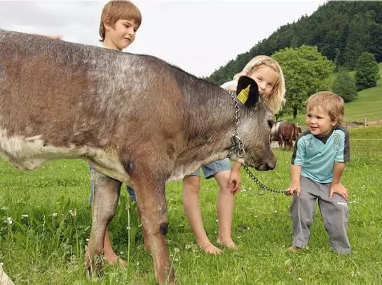 ホテル Ferienhof Metzler