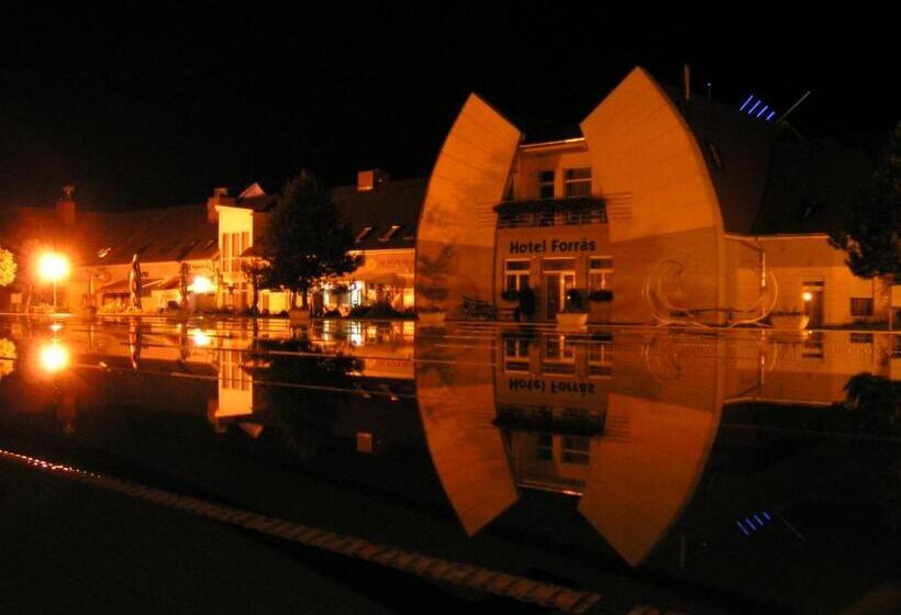 ホテル Forras