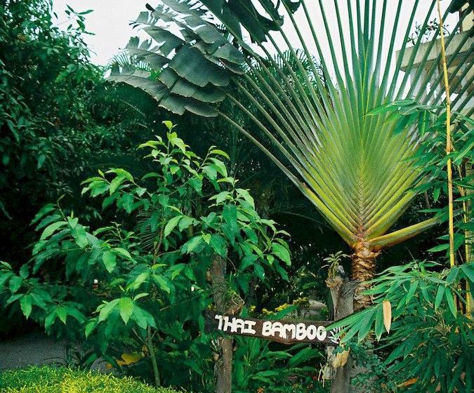 بنسيون Thai Bamboo Guesthouse Resort