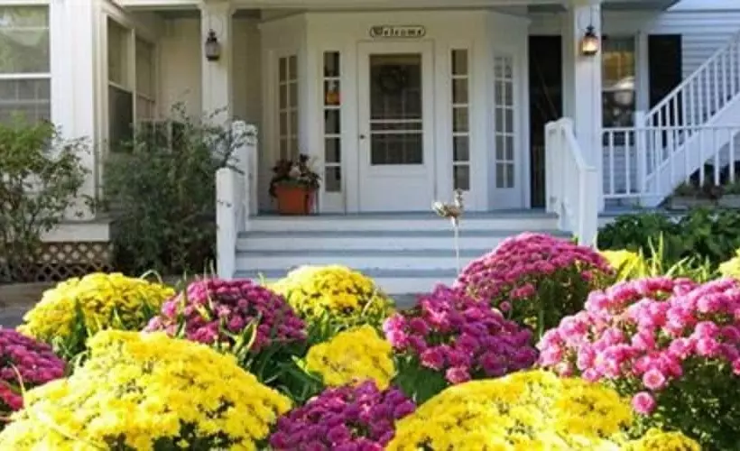 ホテル Youngtown Inn & Restaurant