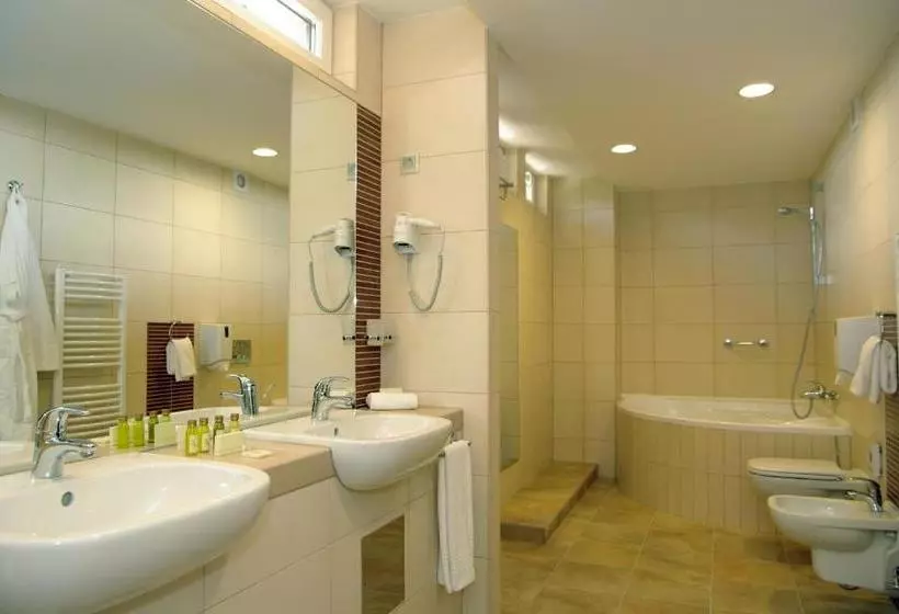 Wellness Hotel Gyula