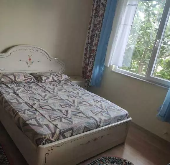 Pi̇nk Hause