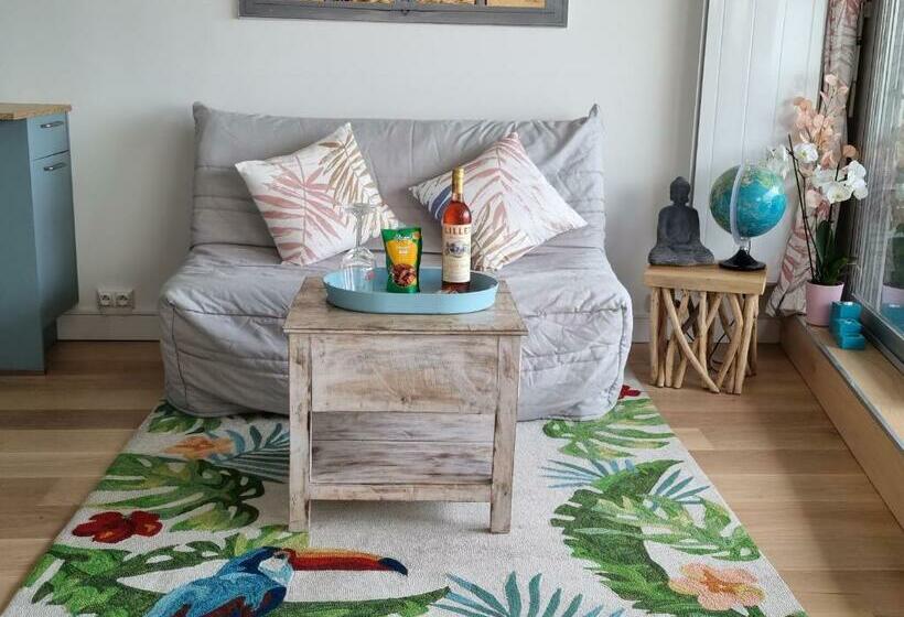 Superbe Vue Mer T2bis Arcachon