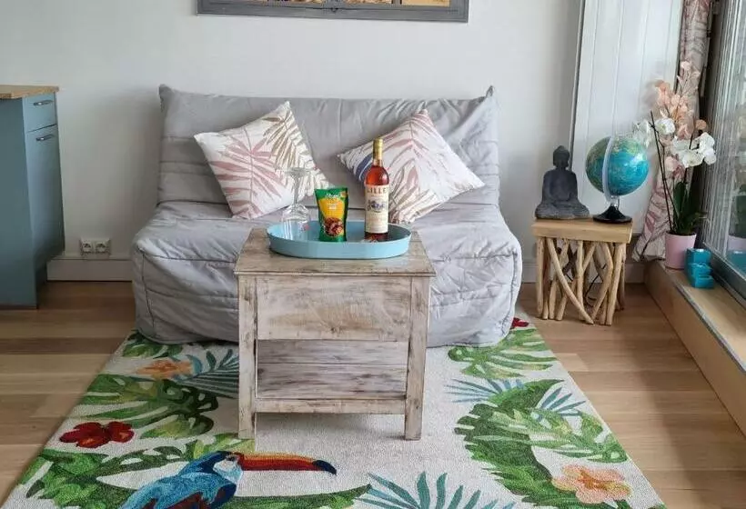 Superbe Vue Mer T2bis Arcachon