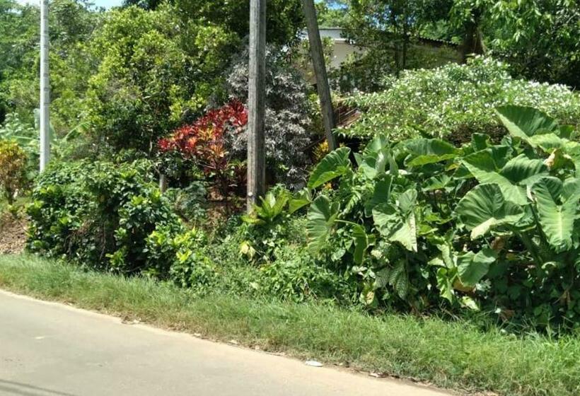 William Villa “b”