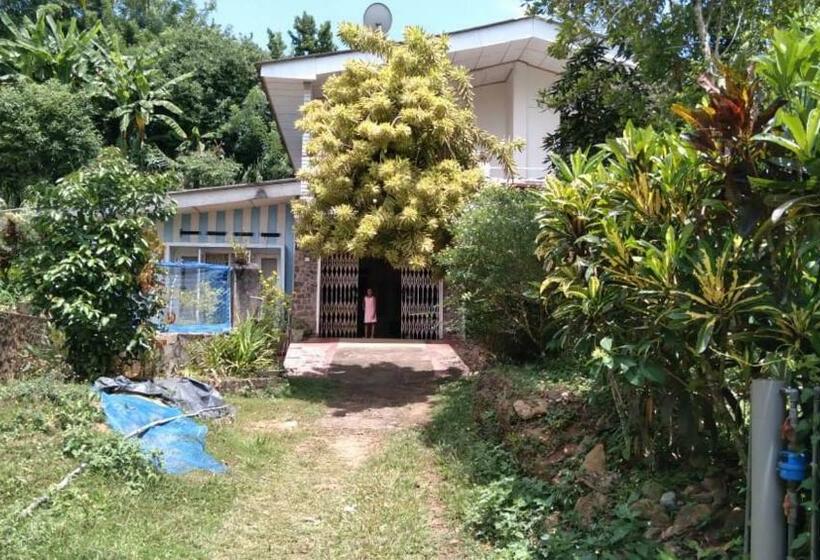 William Villa “b”