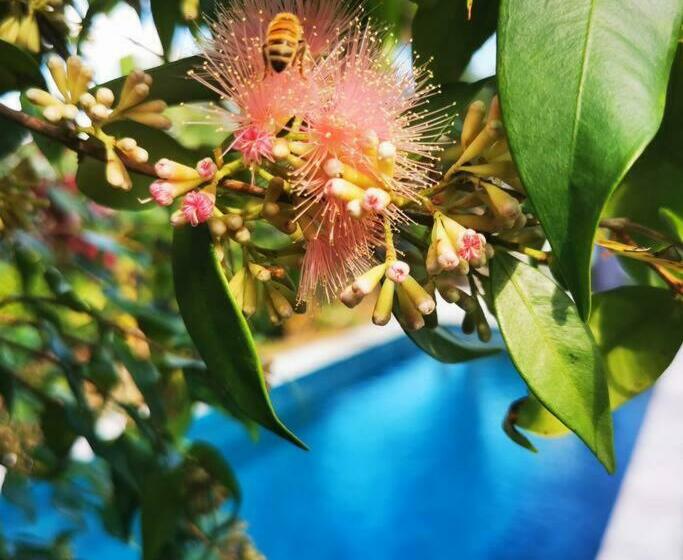 Oxley Private Heated Mineral Pool & Private Home