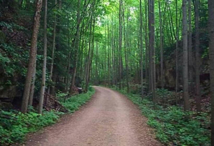 Stay In Ohiopyle Near The Gap Trail   Ohiopyle, Pa