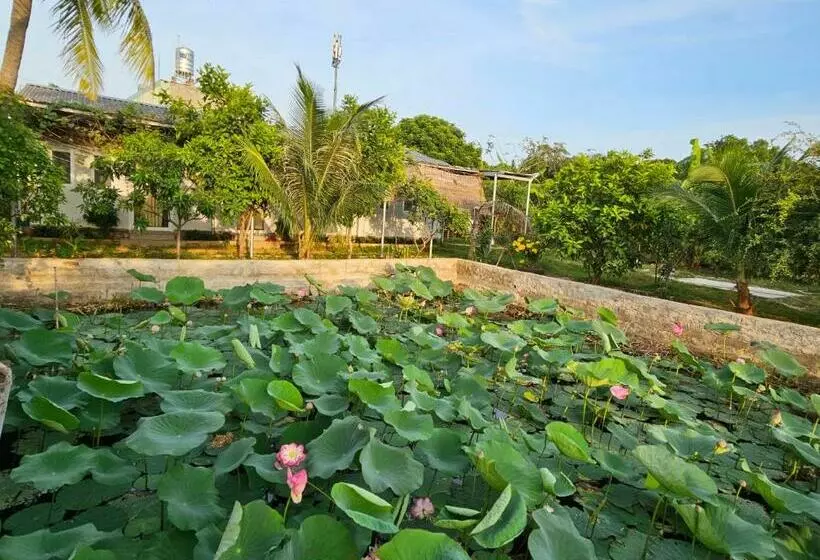 Homestay Sen & Zen Villa Vũng Tàu