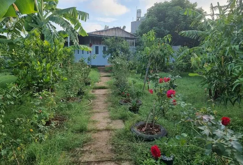 Homestay Sen & Zen Villa Vũng Tàu