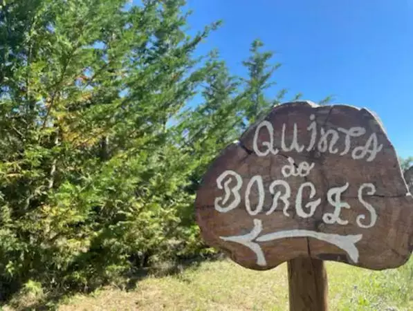 Quinta Do Borges 2