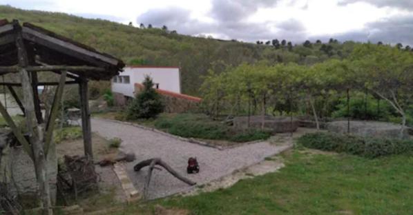 Quinta Do Borges 2