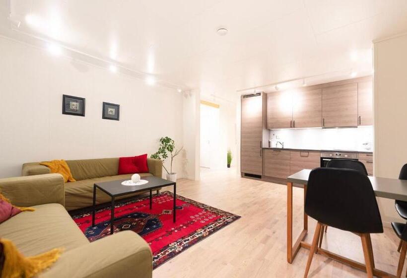 Aurora And Midnight Sun