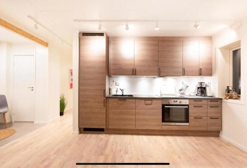 Aurora And Midnight Sun