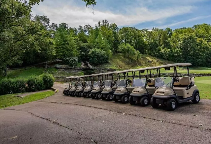 Bear Hug   Cabin Comfort   Outdoor Pool   Walking Trails  Family/group Fun!