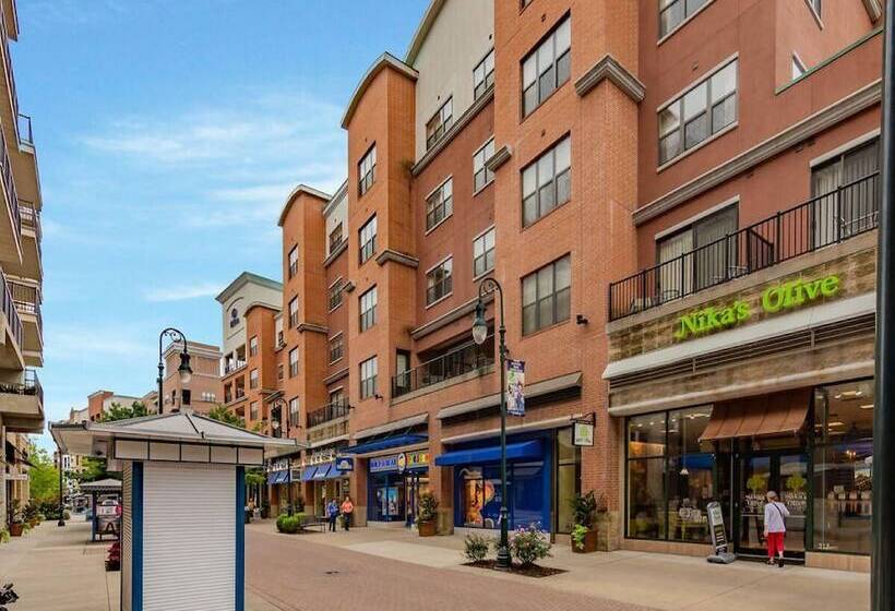 Bear Hug Cabin Comfort Outdoor Pool Walking Trails Family/group Fun!