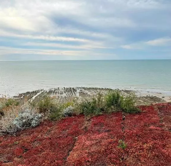 Marée Ault   Maison Moderne Rénovée échappée Mer
