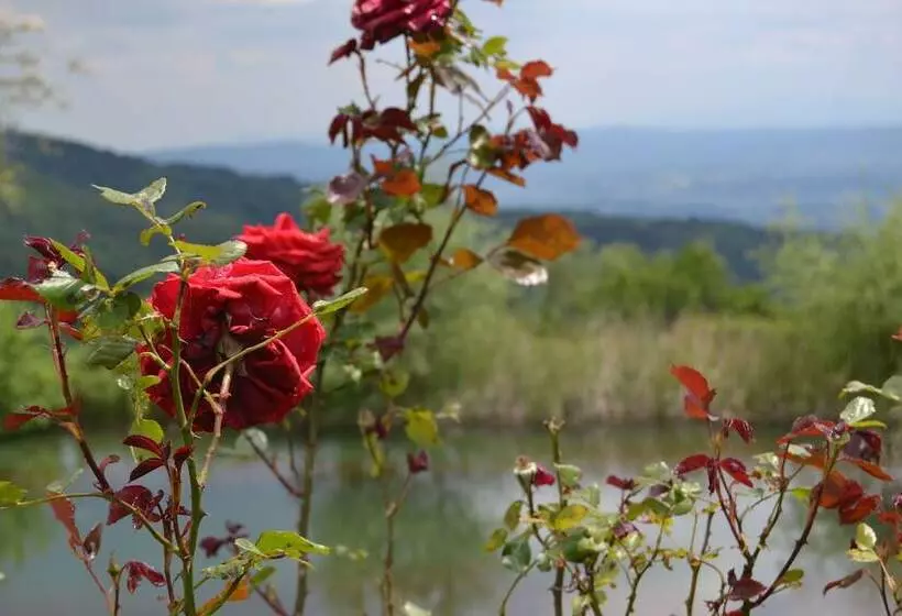 Two Room Charming Apartment In Tuscan Rustic Style