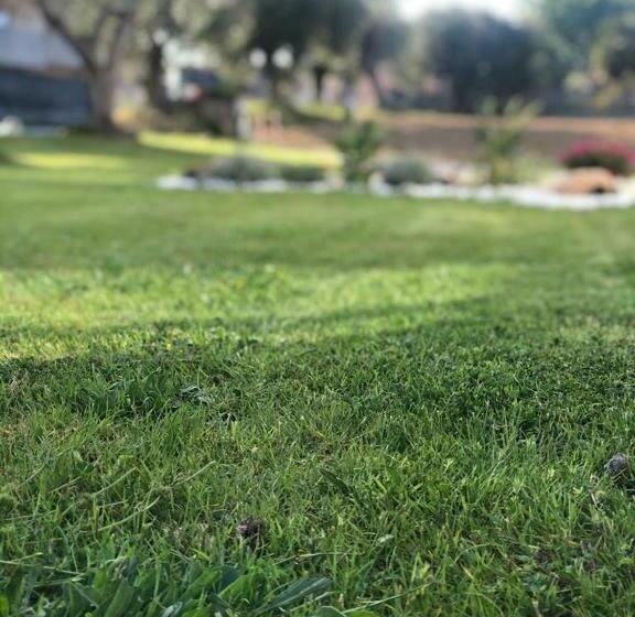 Dèpendance Immersa Tra Gli Ulivi