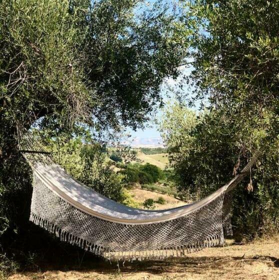 Dèpendance Immersa Tra Gli Ulivi