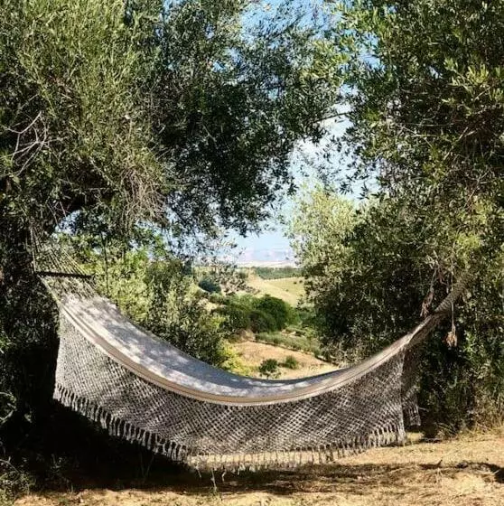 Dèpendance Immersa Tra Gli Ulivi