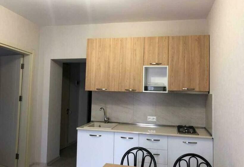 1 Bedroom Appartment In The Centre Of Bakuriani 3