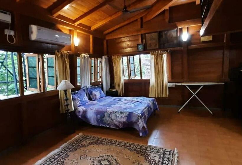 An Adorable, Spacious, Quiet And Comfy Wfh Space