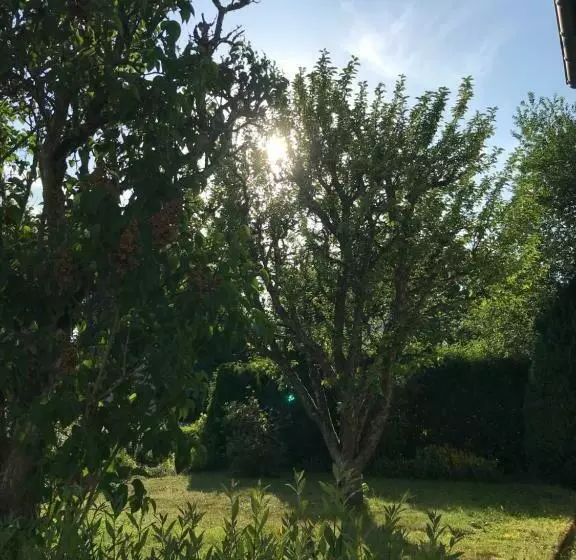 Vulkan Nest In Der Eifel