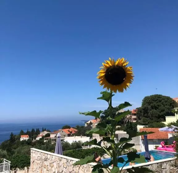 Apartmani Ana