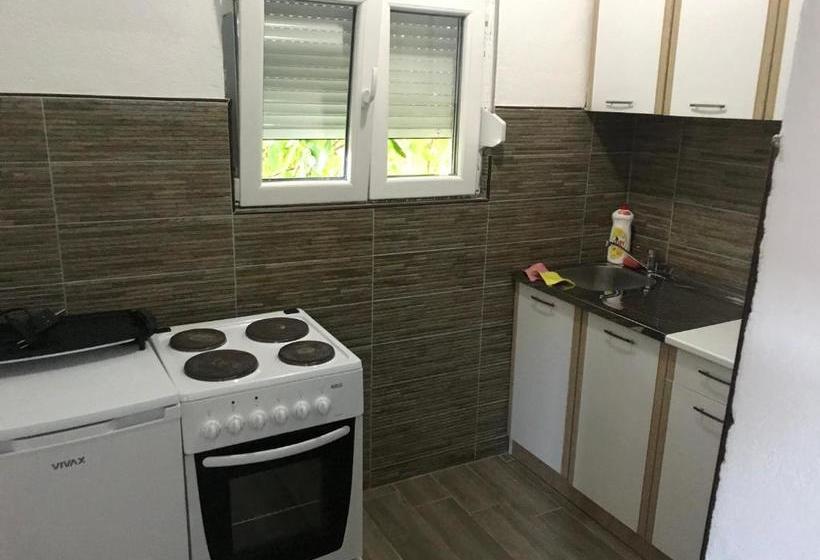 Studio Apartments Petkovic